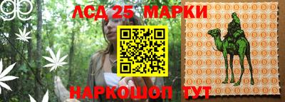 амф Славгород