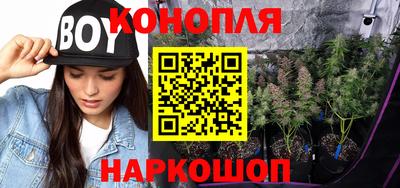 амф Славгород