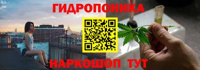 амф Славгород