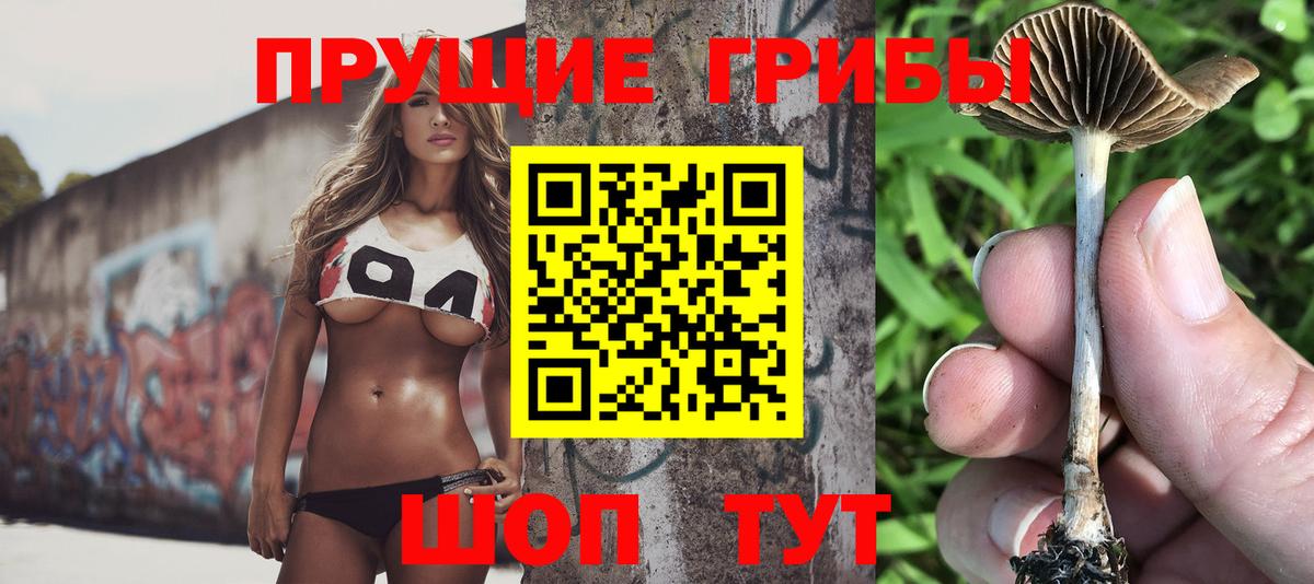 Галлюциногенные грибы ЛСД  Вход с VPN  Сальск 
