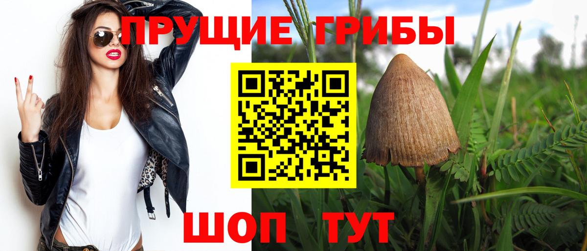 Галлюциногенные грибы мицелий Сальск